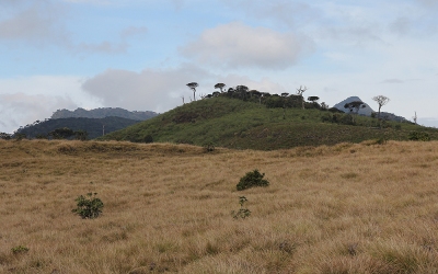 Horton Plain, Sri Lanka, 2012