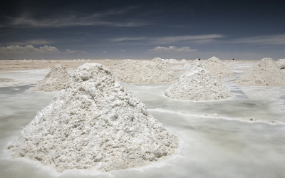 Salar de Uyuni/Isla del Pescado, Boliwia, 2012