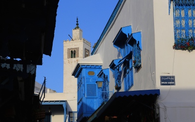 Sidi Bou Side & Kartagina, Tunezja, 2015