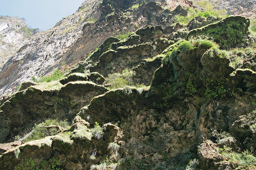 Canion del Sumidero, Meksyk